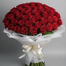 Букет 101 Красная роза Блэк Мэджик в Пречистое