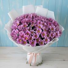 Букет цветов из:  Хризантемы #REPLACE_PRED# Пречистое