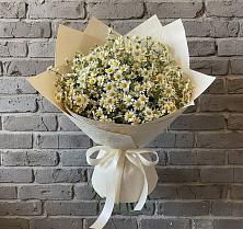 Букет цветов из:  Ромашки #REPLACE_PRED# Пречистое