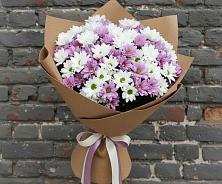 Букет цветов из:  Хризантемы #REPLACE_PRED# Пречистое