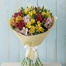 Букет цветов из:  Альстромерии #REPLACE_PRED# Пречистое