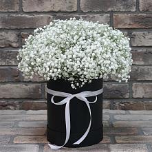 Цветочная композиция из Гипсофила в шляпной коробке #REPLACE_PRED# Пречистое