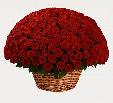 Премиум букет из: Розы в Пречистое